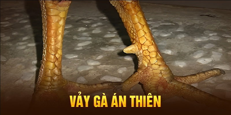 Vảy Án Thiên